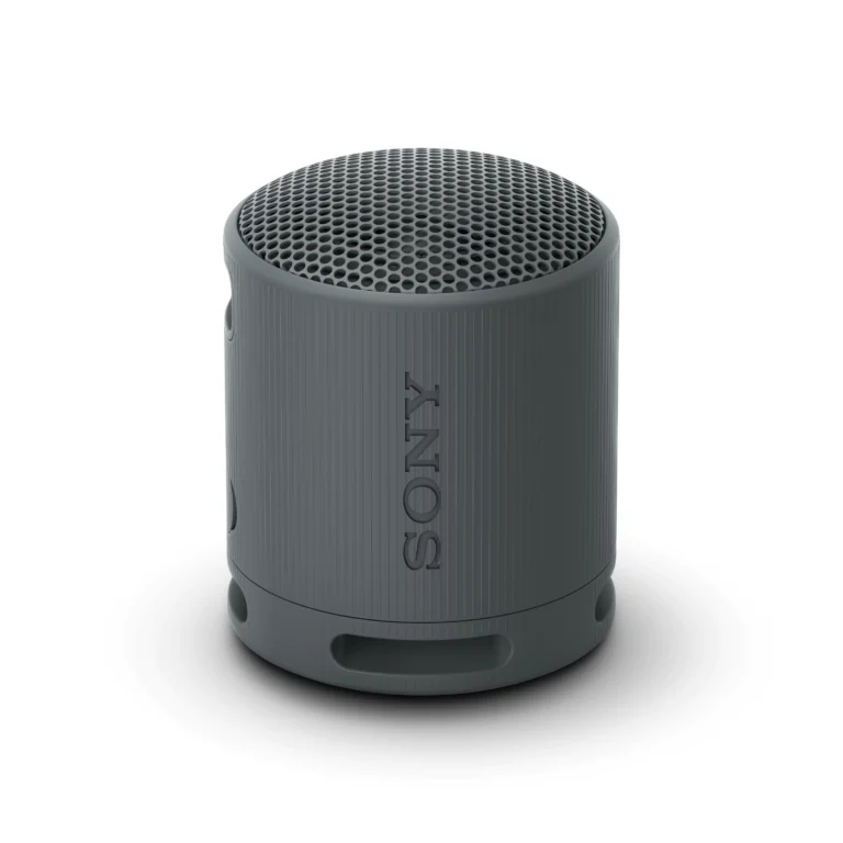 Głośnik bezprzewodowy Sony XB100 (Czarny) SRSXB100B
